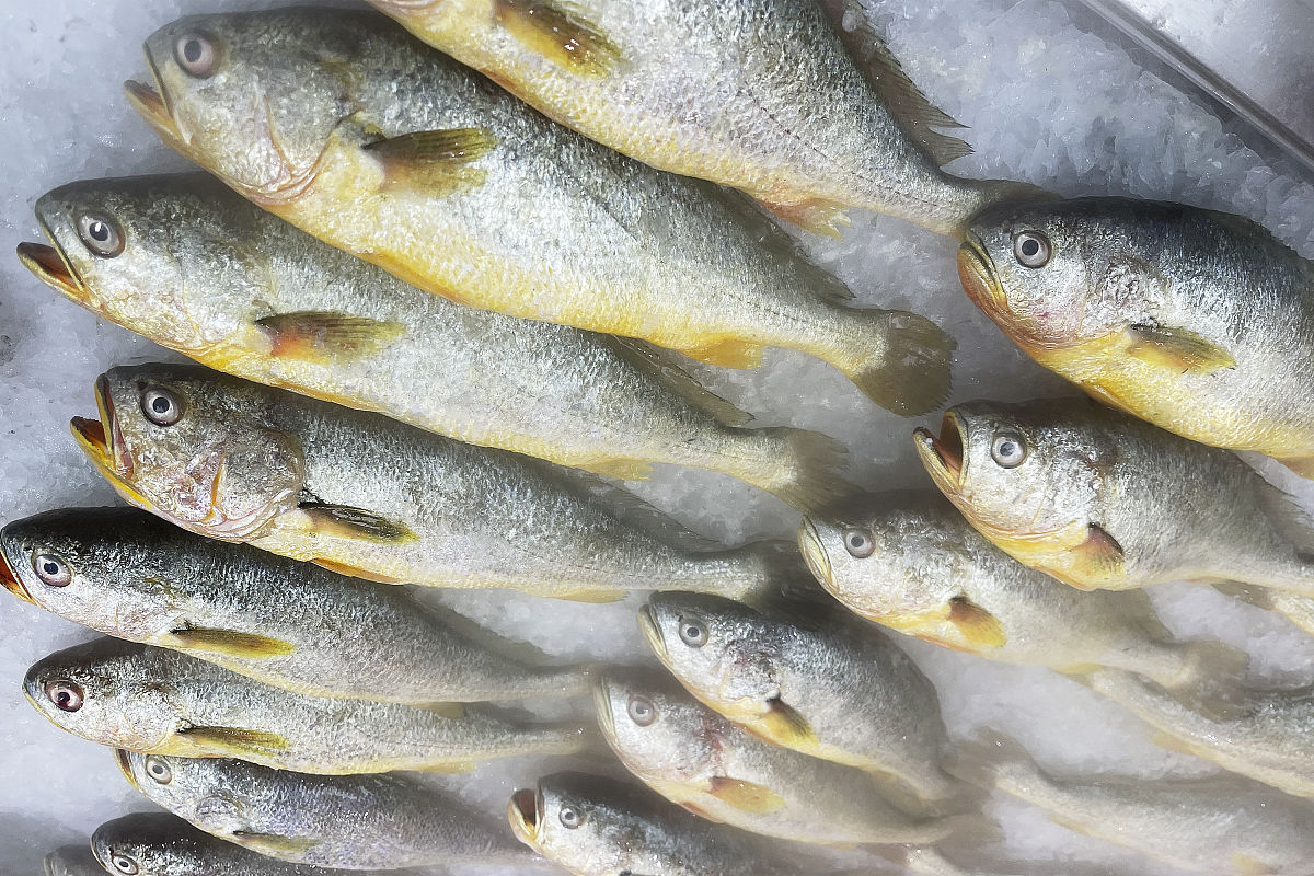 水产冷链运输环境因素影响分析