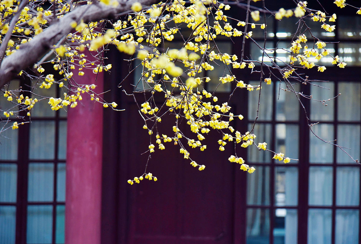 焦作师范高等专科学校音乐表演专业怎么样？就业前景、师资力量、教学设施全面解析