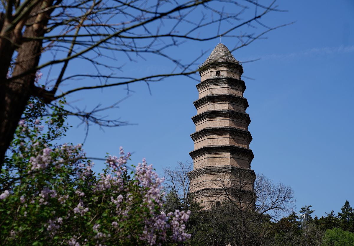 延安中专学校是什么好不好