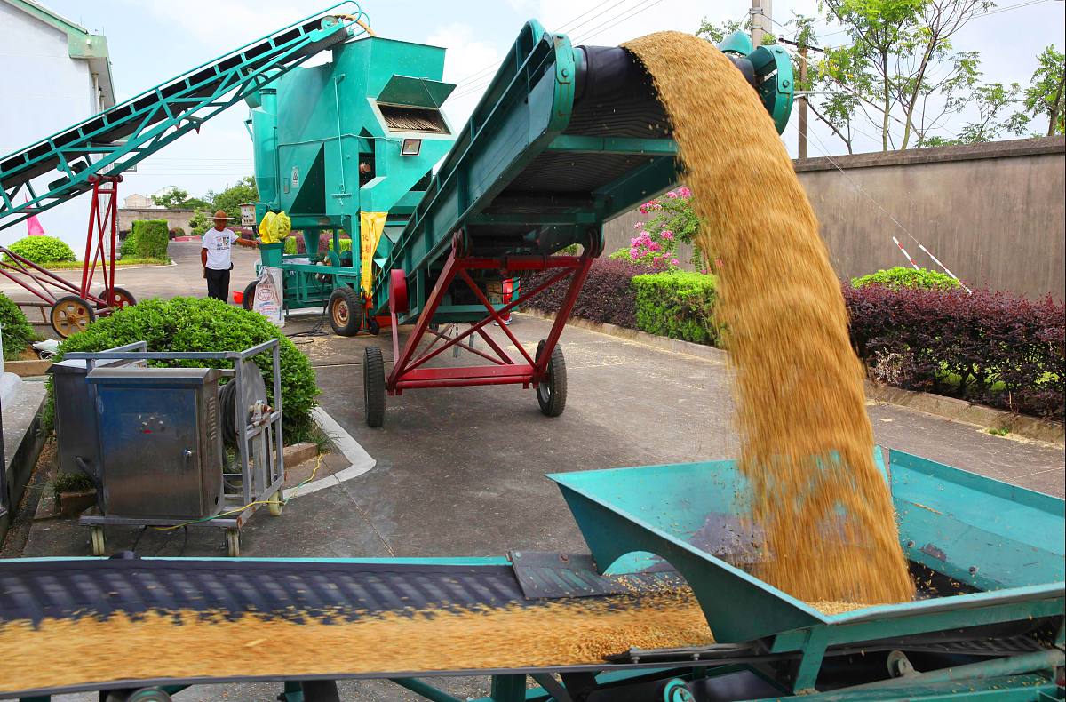 谷物去石机产品介绍文案 内容丰富 详细一点