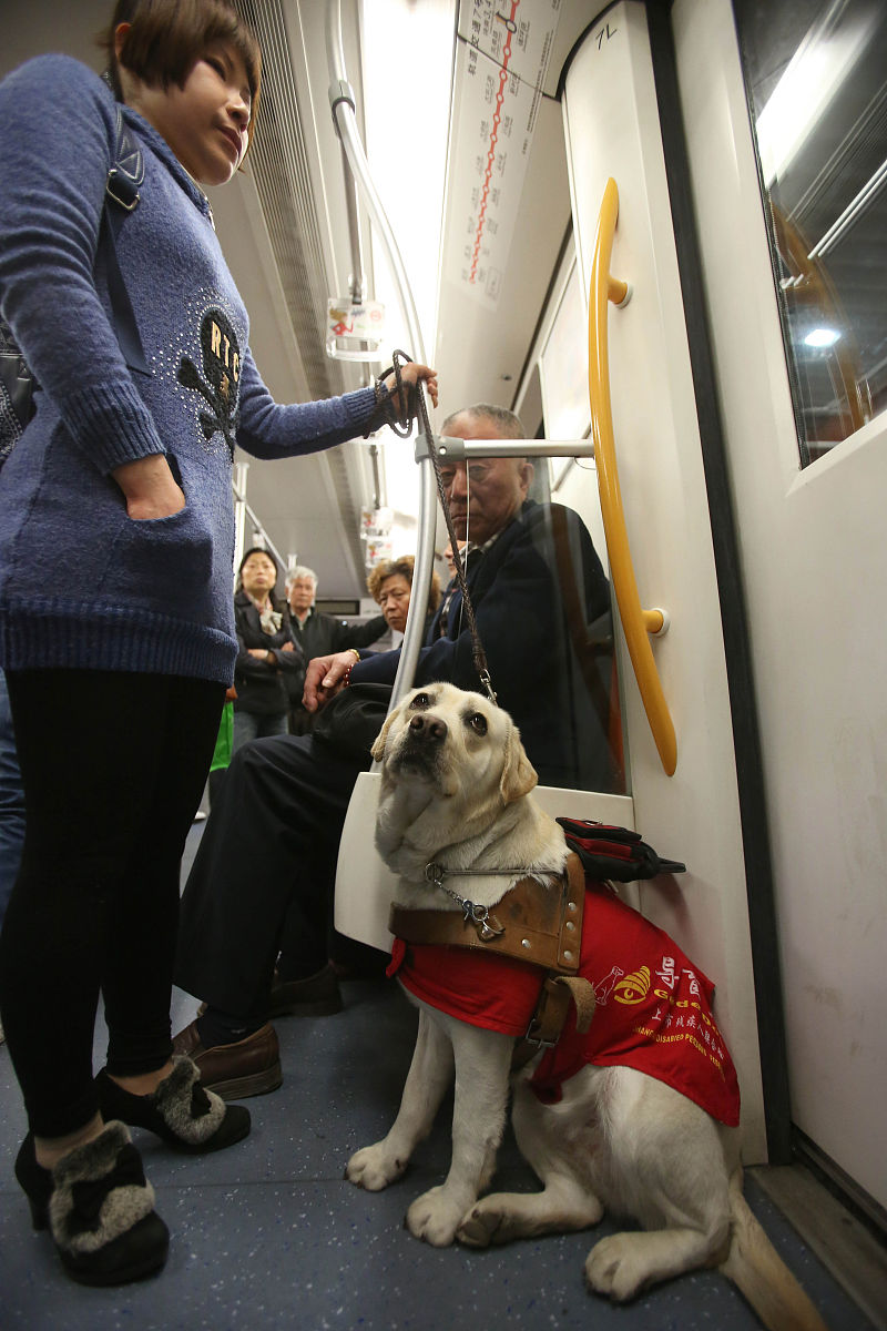 北京市美职业学校地址和乘车路线 - 详细指南