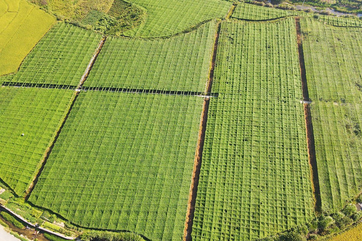 安庆工业学校2021年多少分能报考