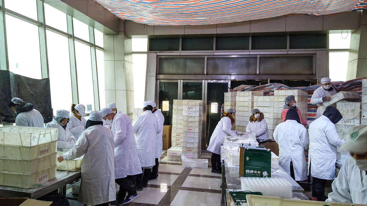 山西药科职业学院农产品加工与质量检测专业就业前景分析