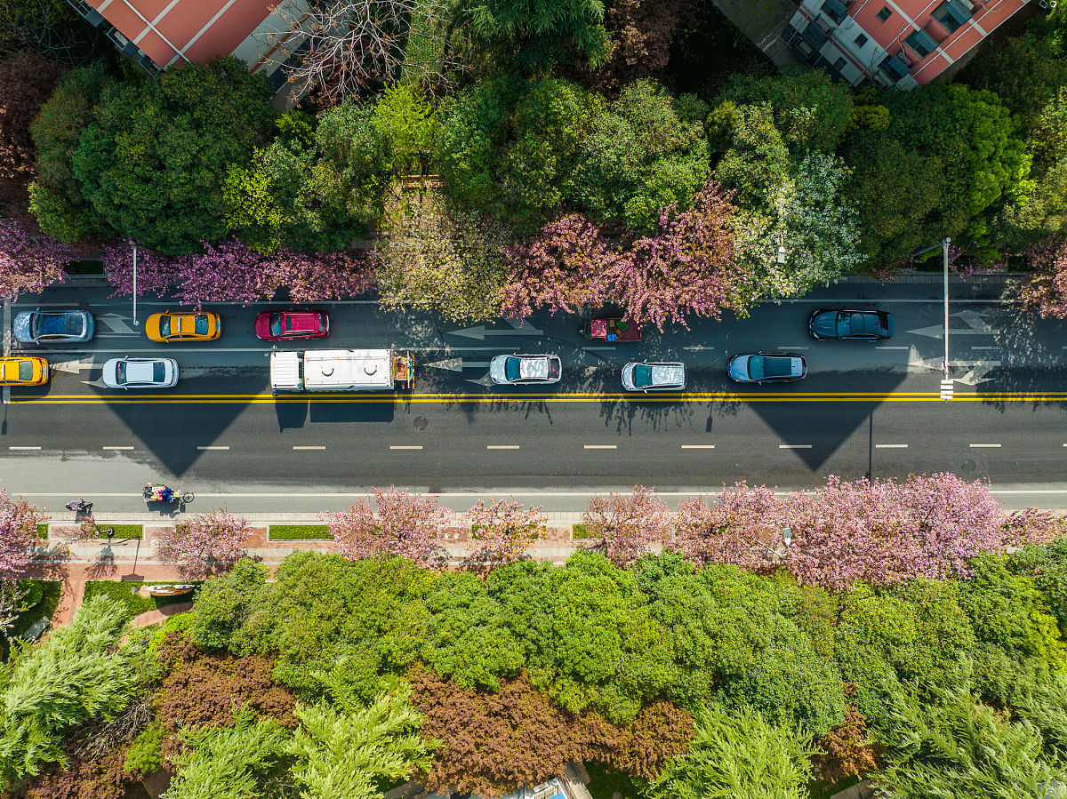 西安培英育才职业高中2022年招生专业：文秘、会计、电子商务、旅游管理