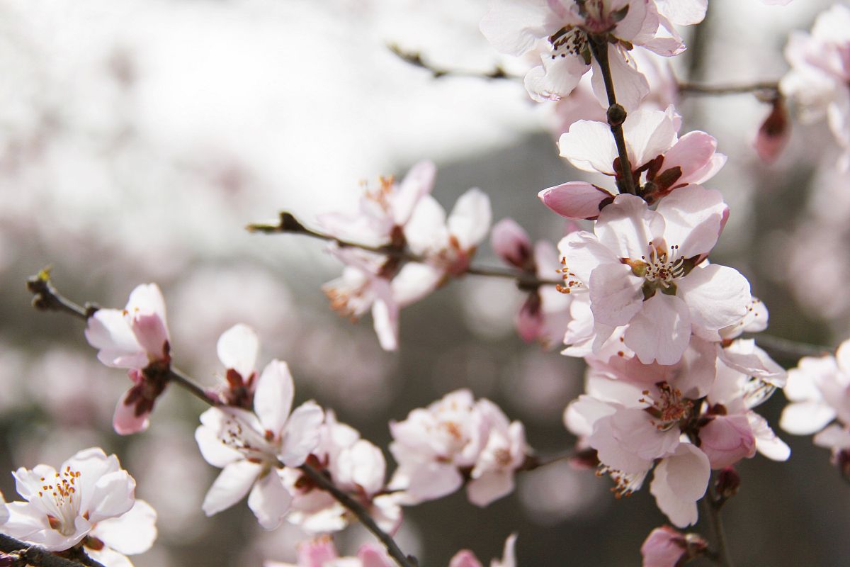 甘肃农垦中等专业学校2022年录取分数线查询及报考指南