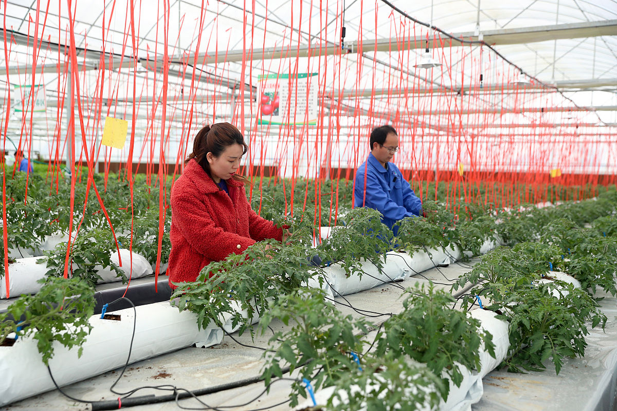 2022年道真职业教育培训中心果蔬花卉生产技术专业招生