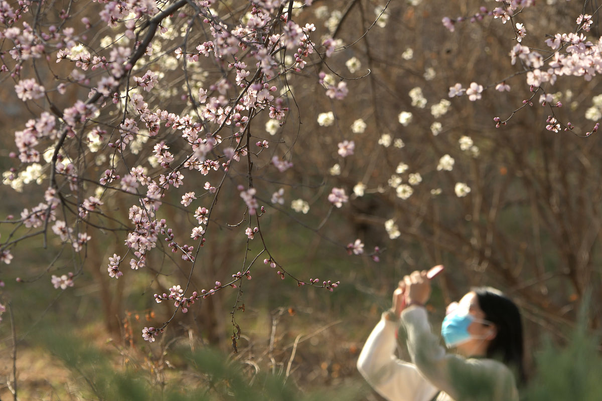 落红不是无情物化作春泥更护花。请解析一下这句古诗
