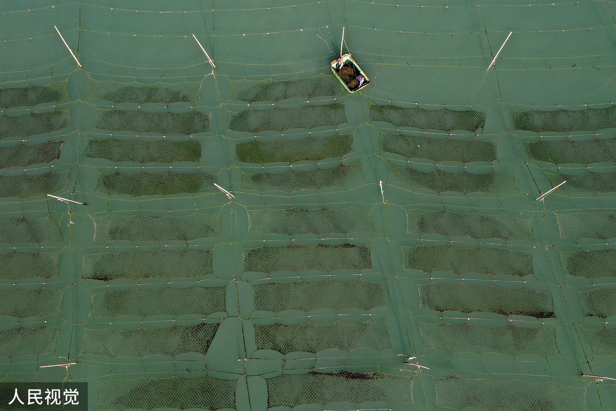 无人机弓字型飞行：高效覆盖、安全可靠的航线规划方案