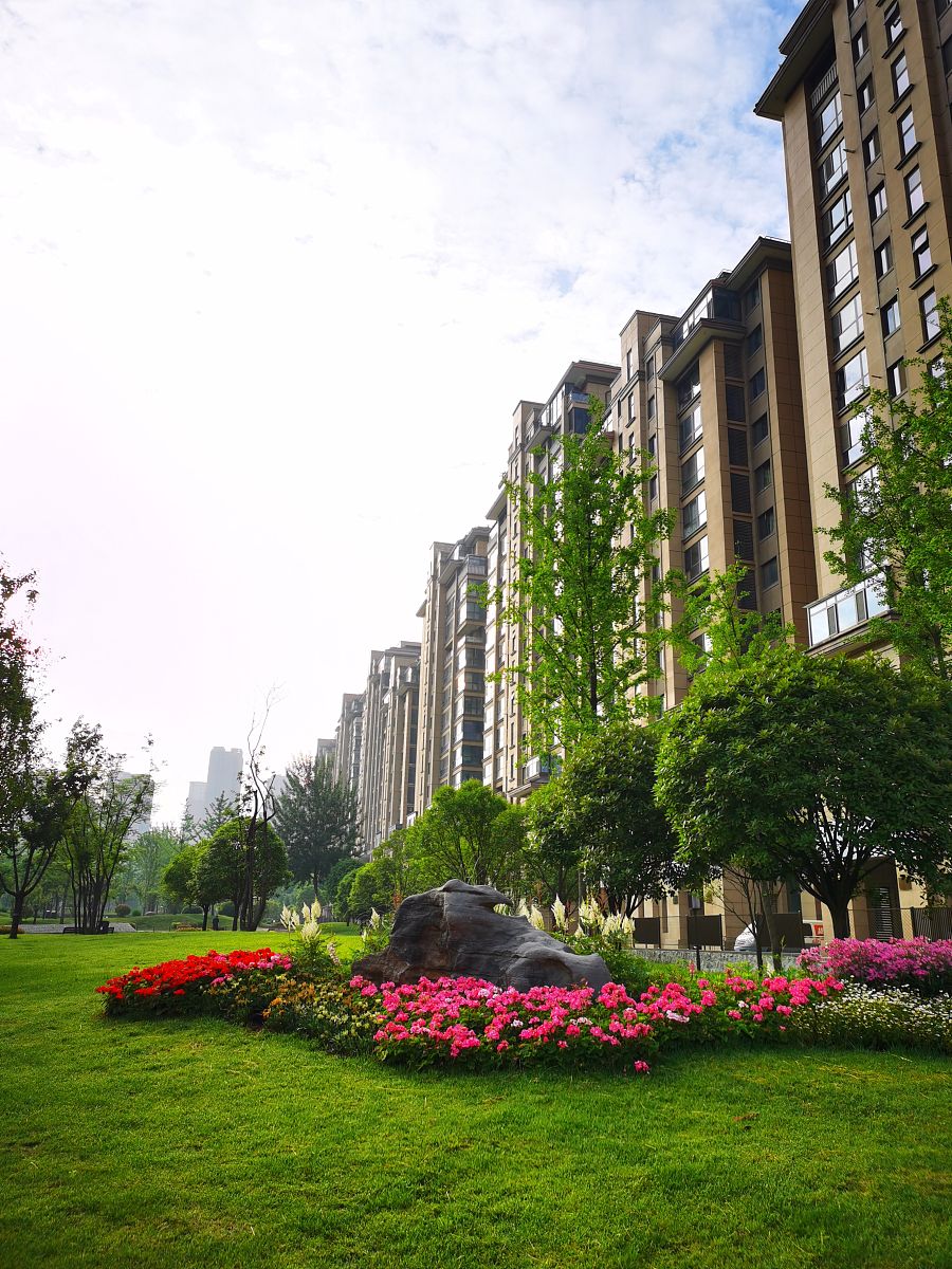 2021年5月22日清晨,初夏的陕西西安天蓝如洗,绿树成荫,花红绿柳,美景