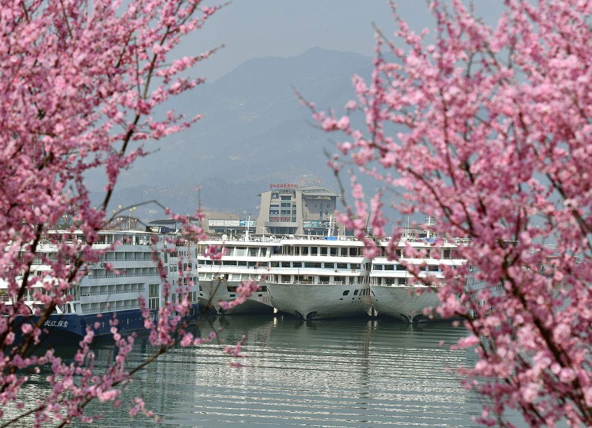 宜昌2022年职高好还是卫校好