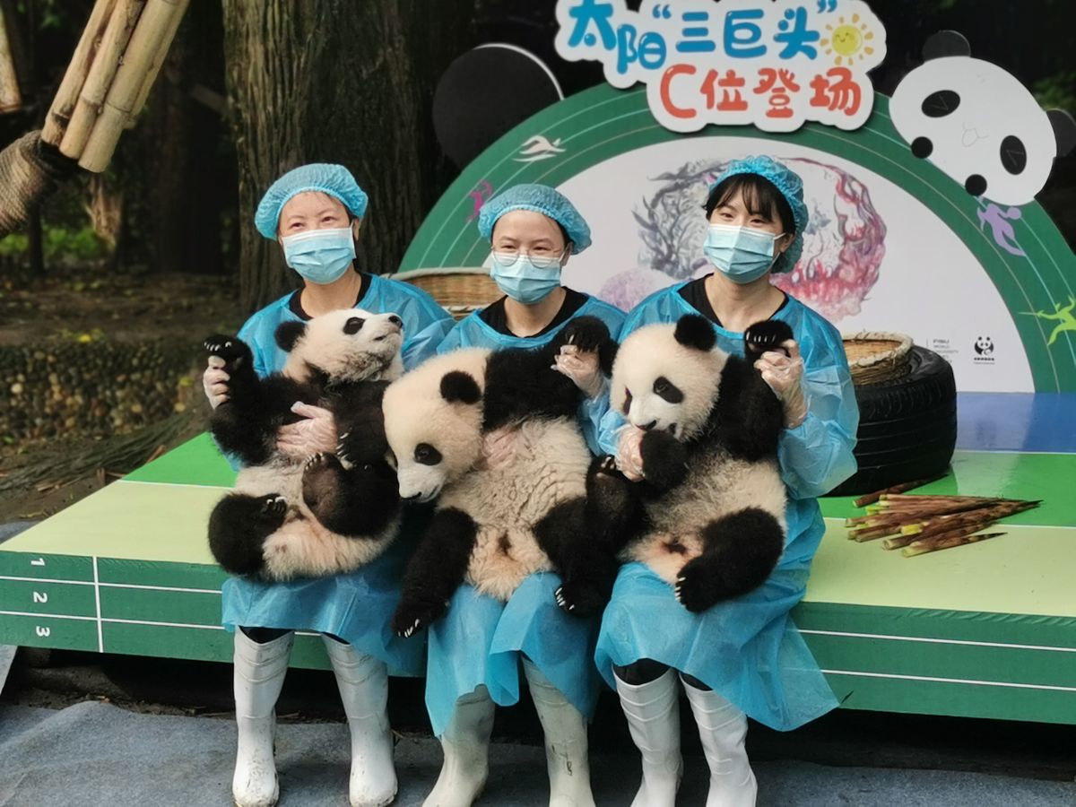 (如需下载使用,请务必署名 红星新闻 范鱼/视觉中国)2020年9月29日上