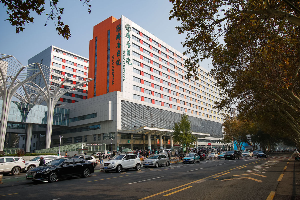 齐鲁医院帮我用230字详细描述