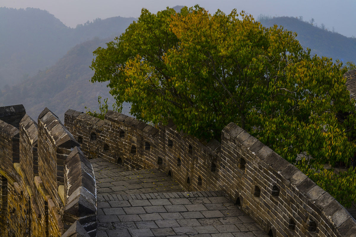 承德卫校开设专业都有哪些怎么样
