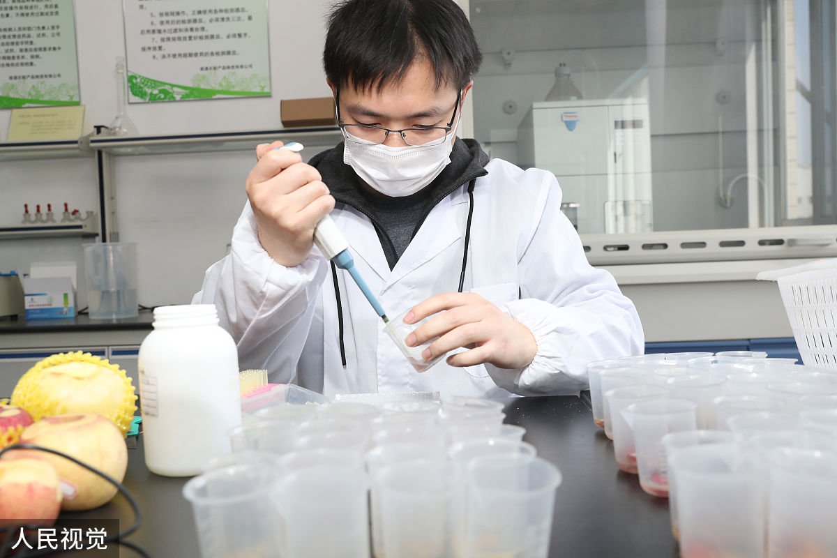 14日夜班样品制成单独综合样