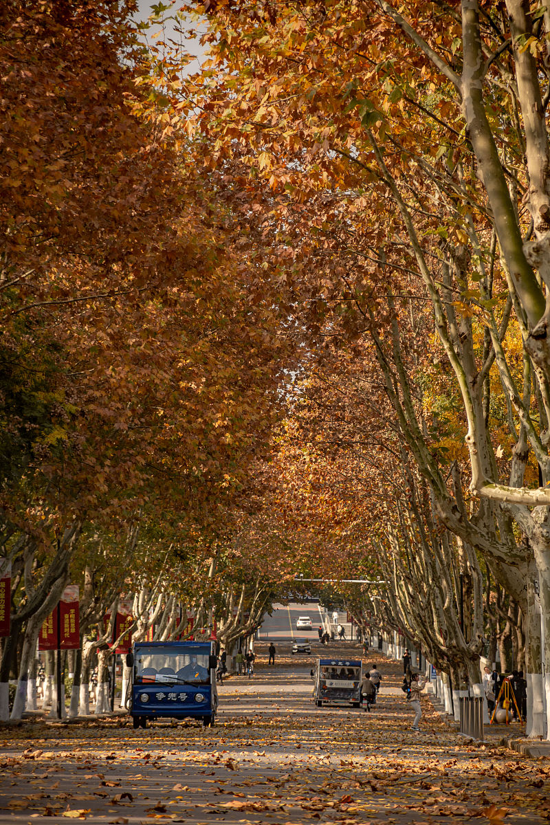 成都2021年哪所电子商务学校就业最好