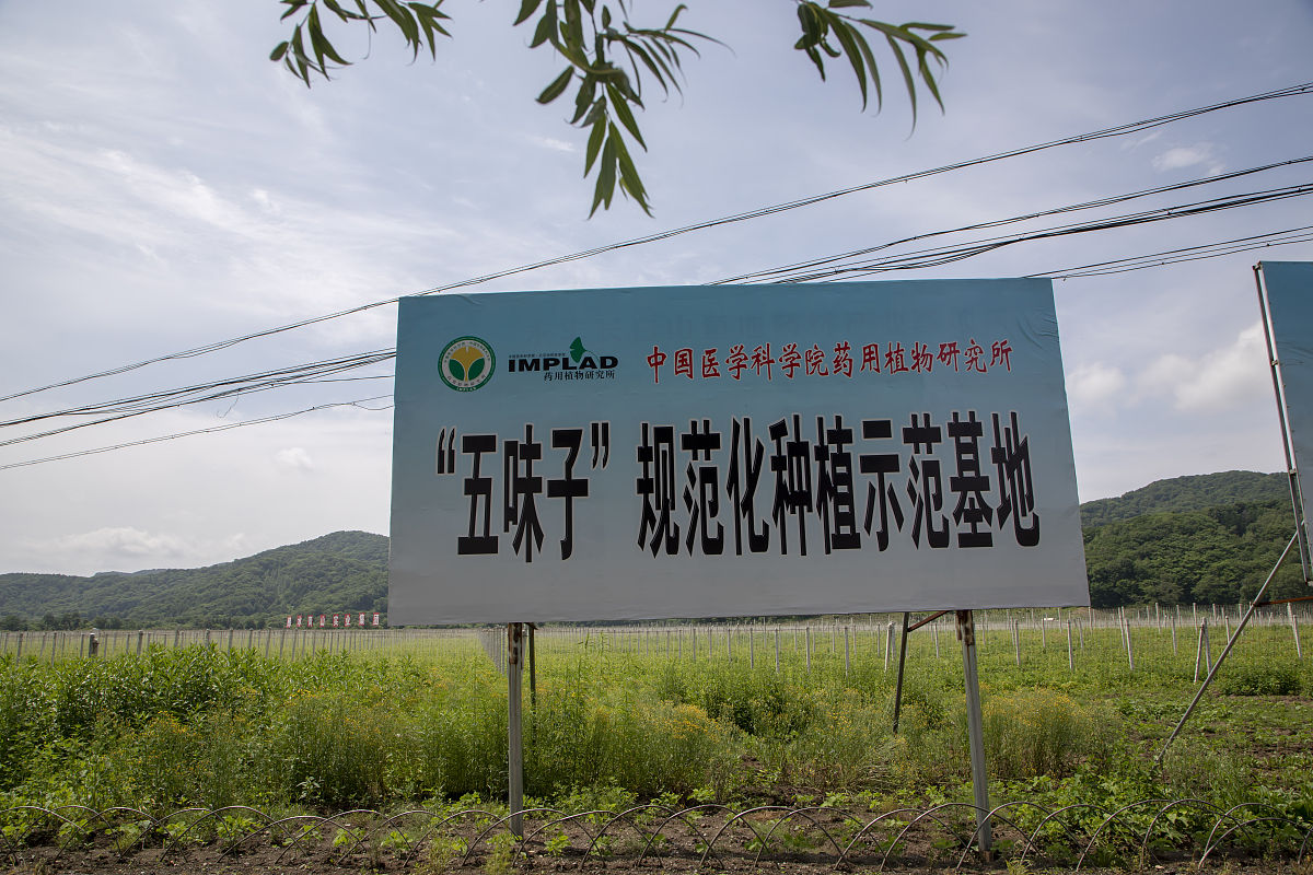 建设药用植物研究所的原则都有哪些