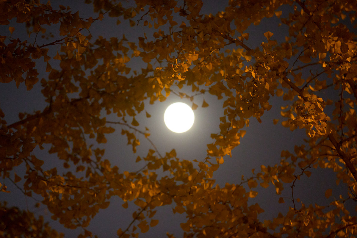 张鑫焱 张艳秋写一首诗