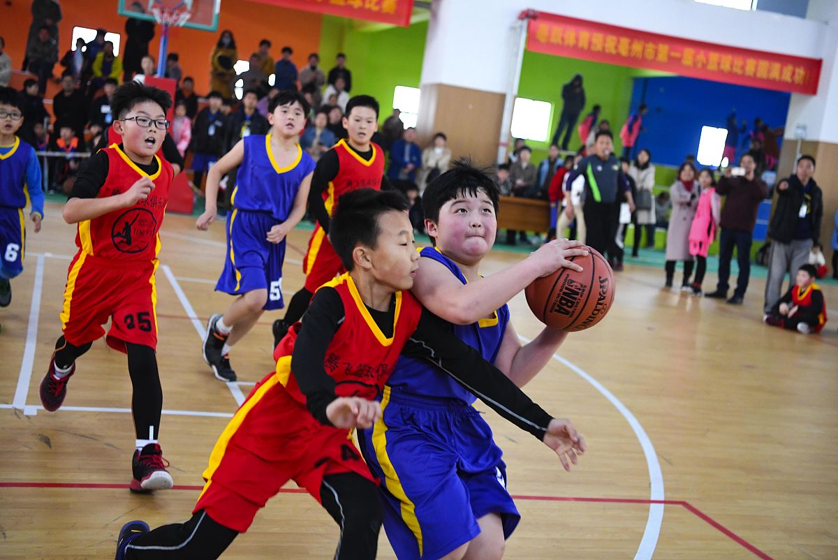 请写一篇小学篮球比赛赛季成果报道分别写出男篮和女篮