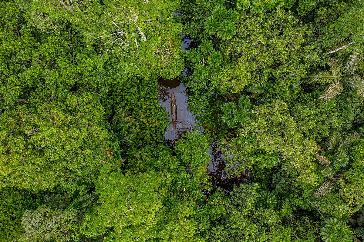 当地时间2021年7月9日,贝宁,一艘船穿过洛科利森林.this aerial view 