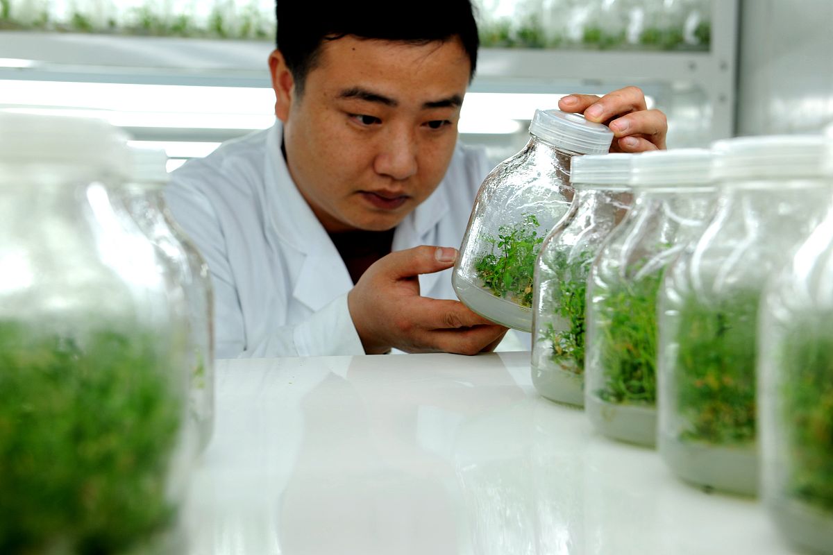 施秉中等职业技术学校2022年招生简章