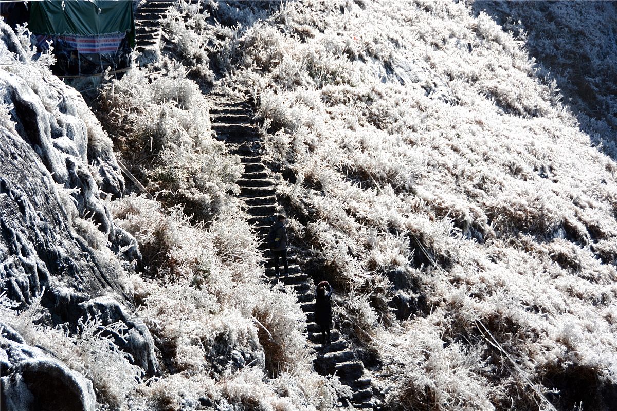 2018年1月26日,广东清远,受降温天气影响,金子山出现雾凇冰挂景观.