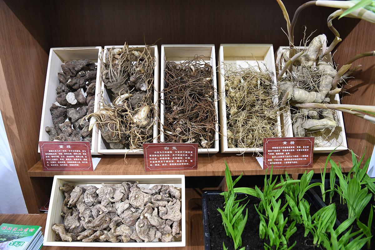 只凭形状能准确鉴别药材真伪吗？