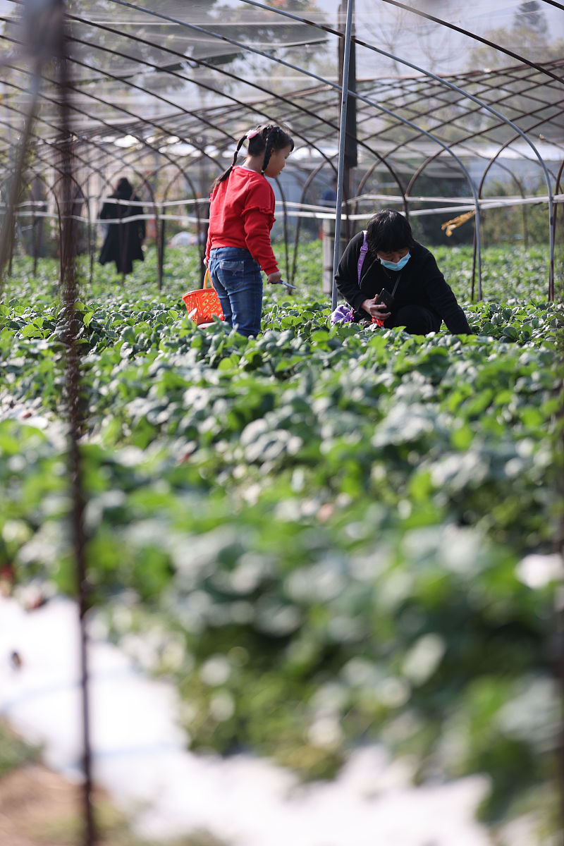 湖州市现代农业技术学校休闲农业生产与经营专业好不好