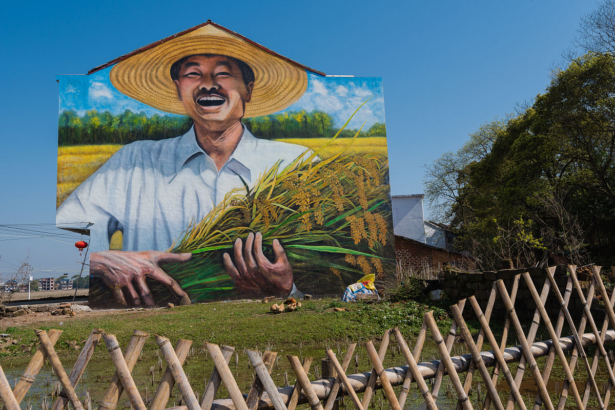 乡土社会：中国社会的重要基石与未来发展