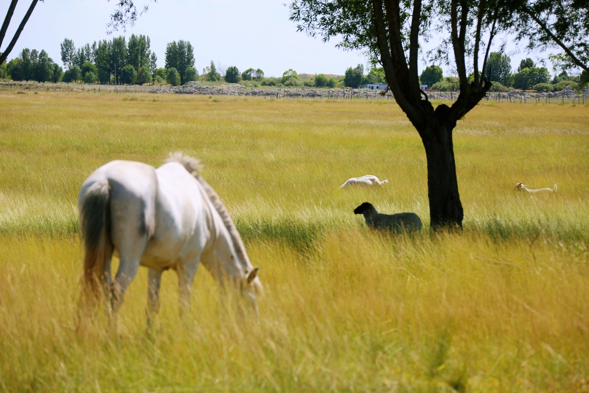 鄂尔多斯媒体曝光平台有哪些 要求：创建一篇500至1000字的解决方案