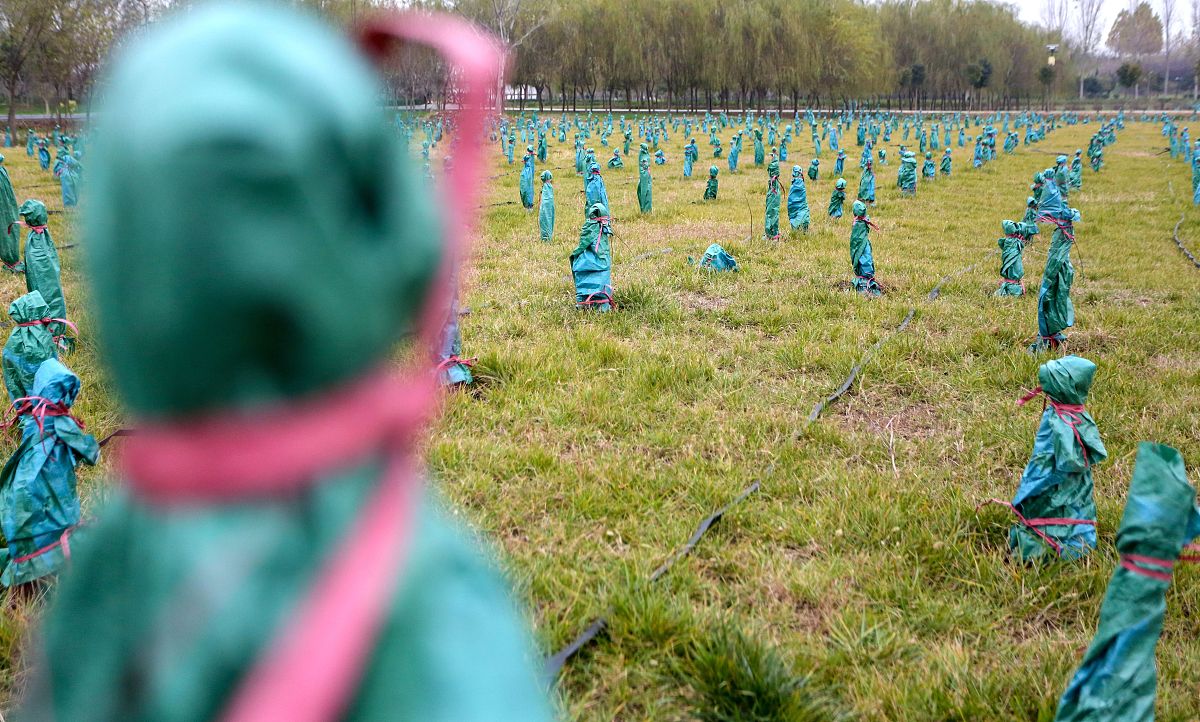 共享位置户外躲猫猫策划：新兴户外游戏玩法