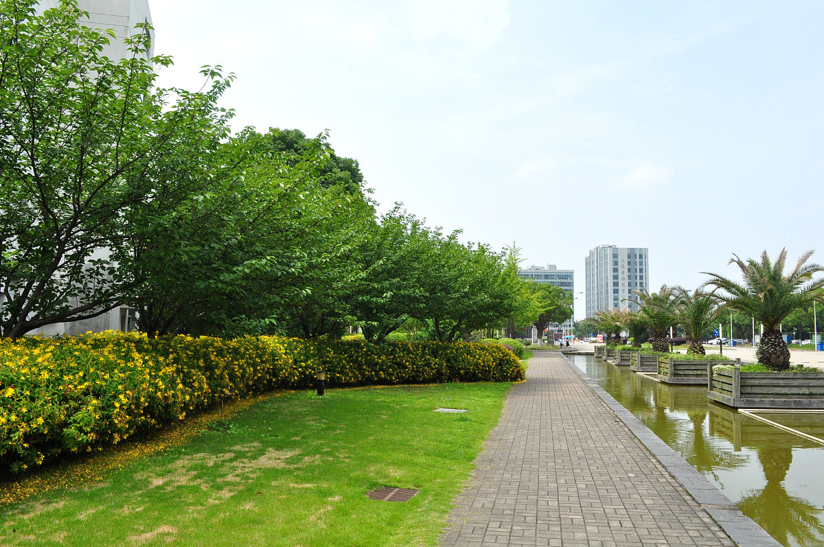 上海第二工业大学录取分数线、招生政策及专业解读