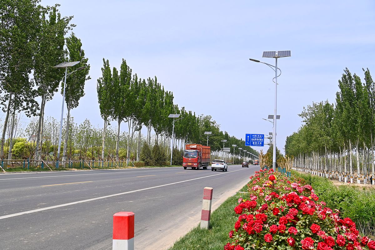 保定女子职业中专学校2021年招生专业：热门专业一览