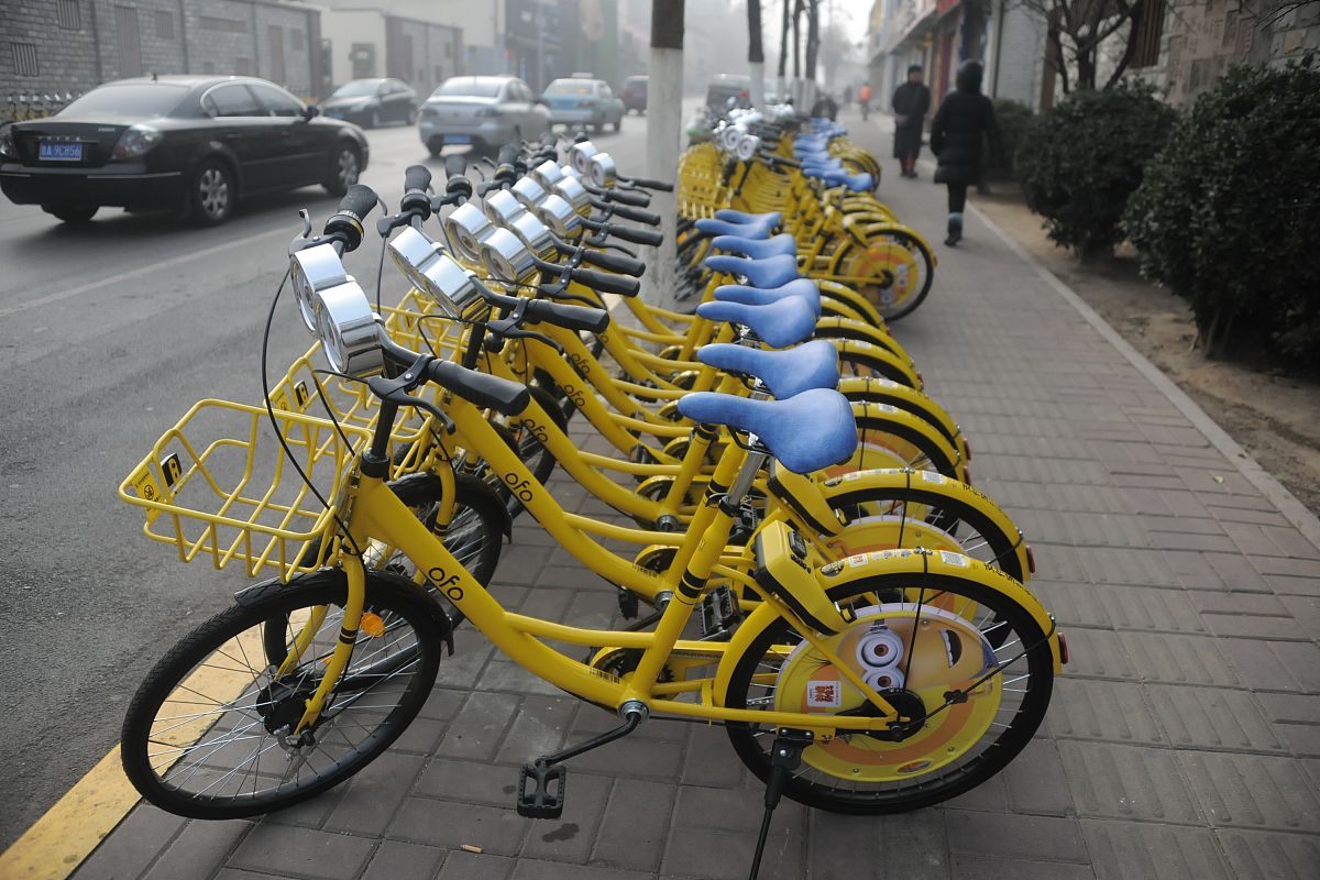 8000多粉丝小黄车却不出单咋回事 帮我用150字详细描述