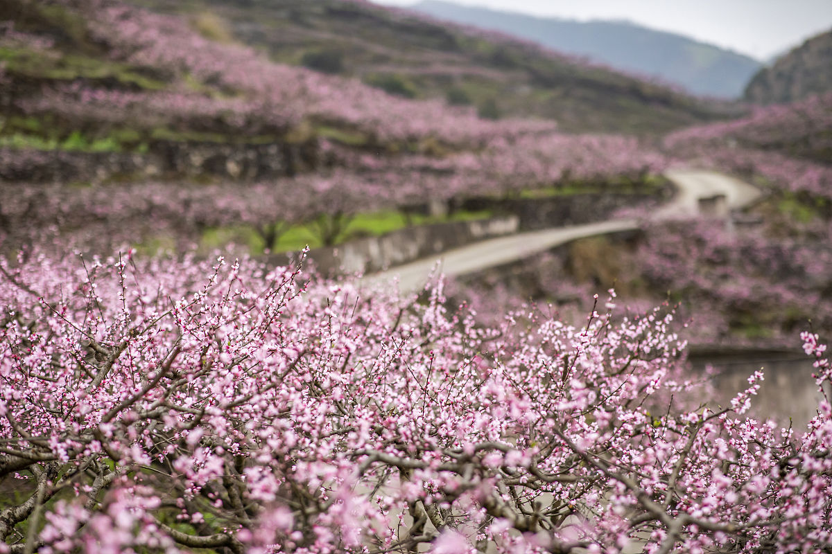 安顺中专学校哪家好？ - 优质中专学校推荐