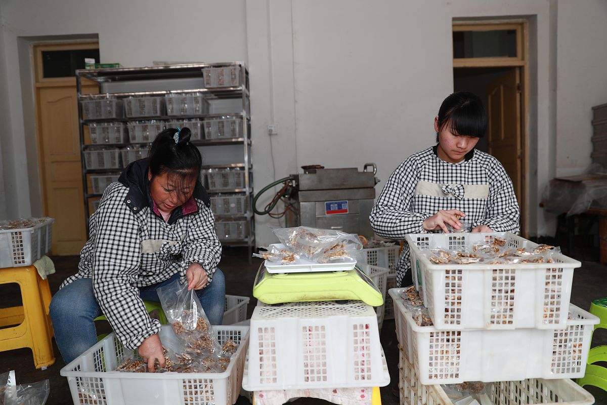 合江县先市职高农产品贮藏与加工专业教学内容详解
