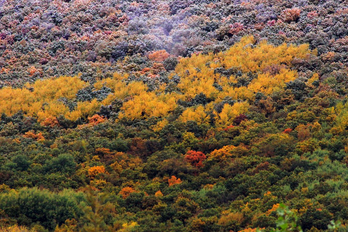 黑龙江农垦职业学院药学专业涉及哪些课程