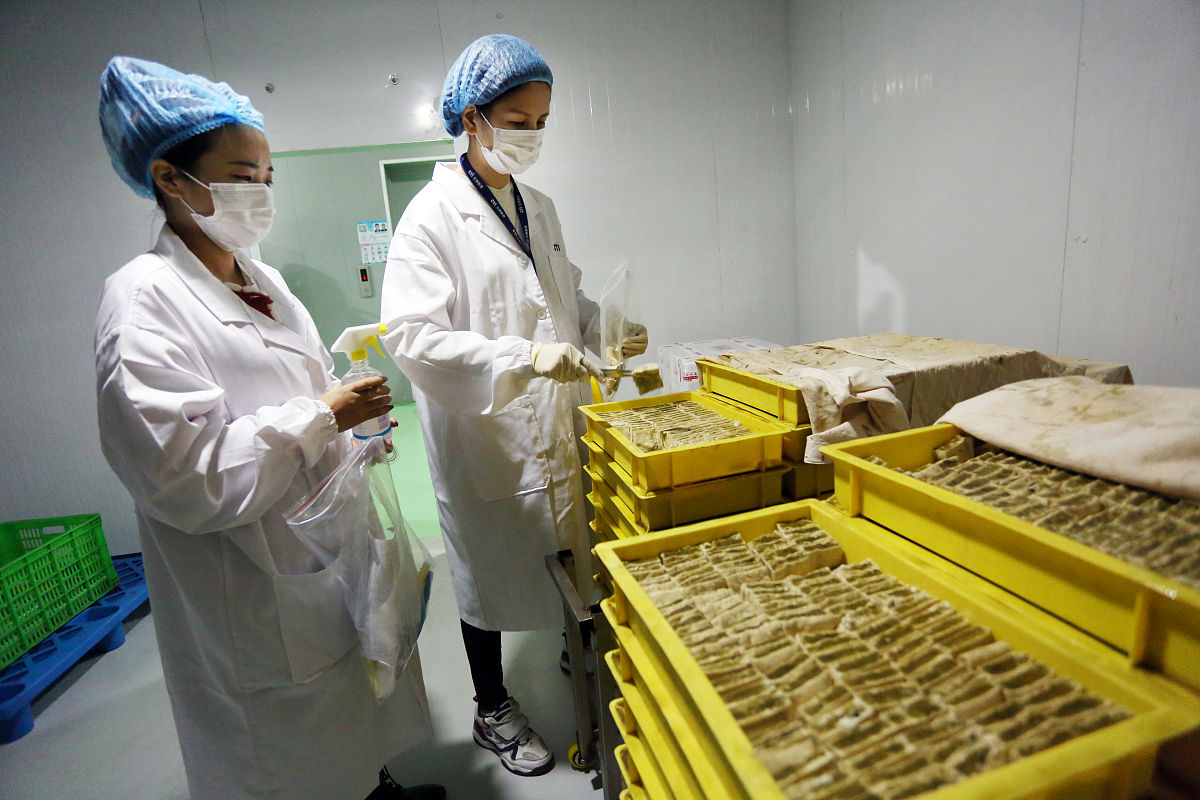 某市小学生学习情况调查抽样方案设计