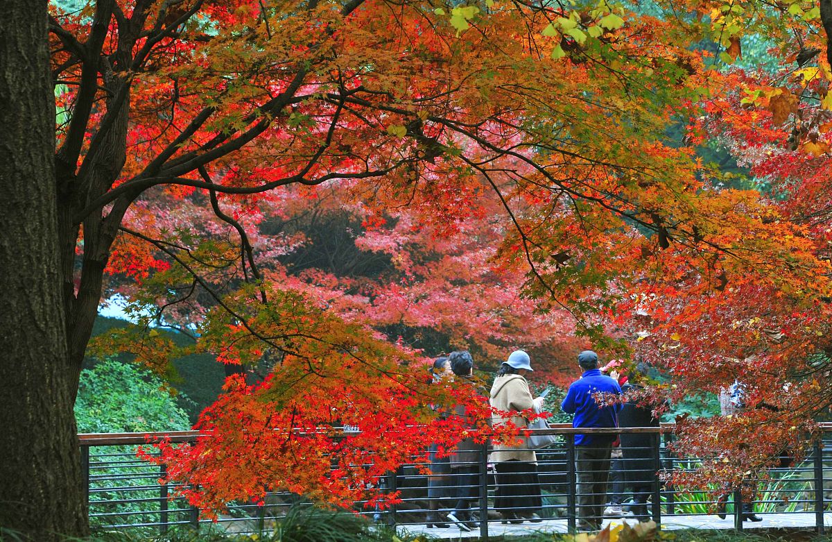 关于上摄影与空中摄影学课玩手机的检讨 1500字