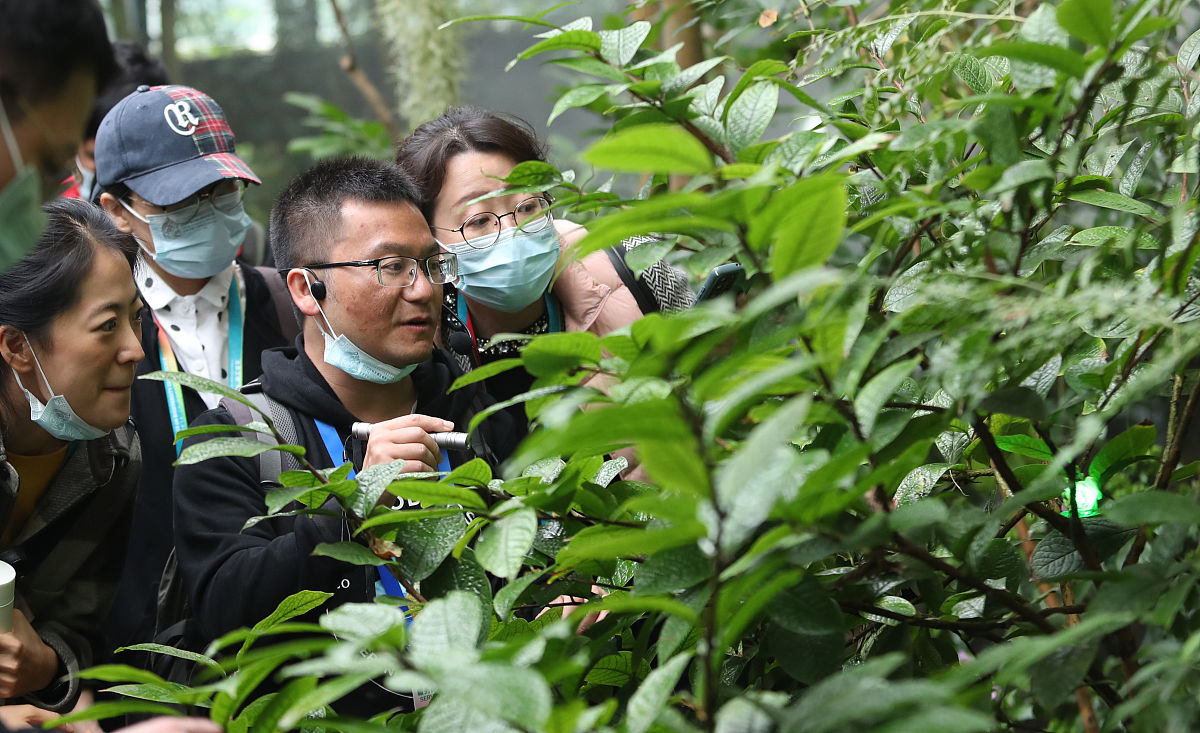 都匀中等职业技术学校茶叶种植与加工专业教学质量怎么样？