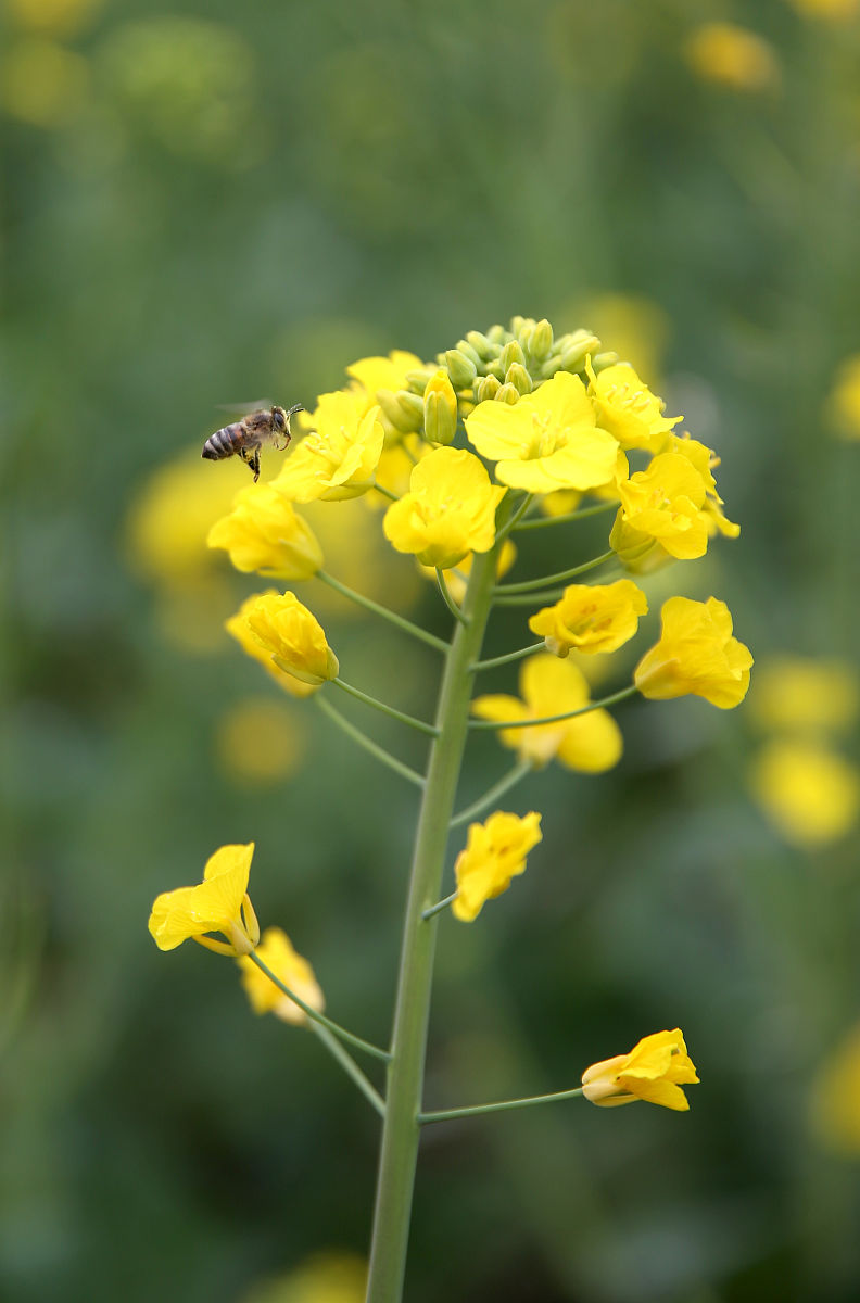 眉山市技工学校联系方式 - 如何联系招生办？