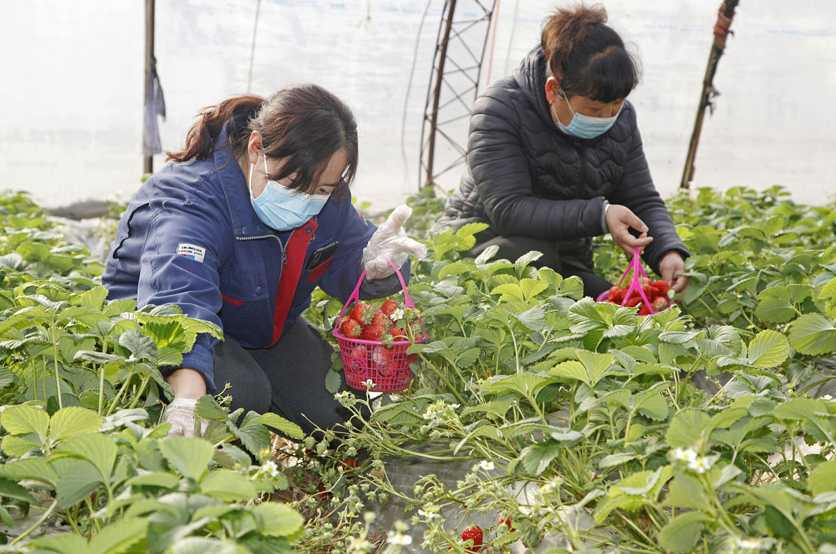 广西玉林农业学校2023年招生简章-如何选择适合自己的专业？