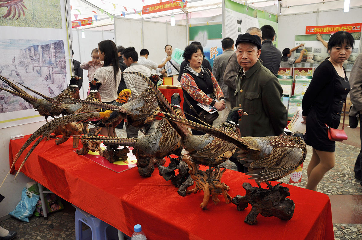 黔东南民族职业技术学院文秘专业怎么样