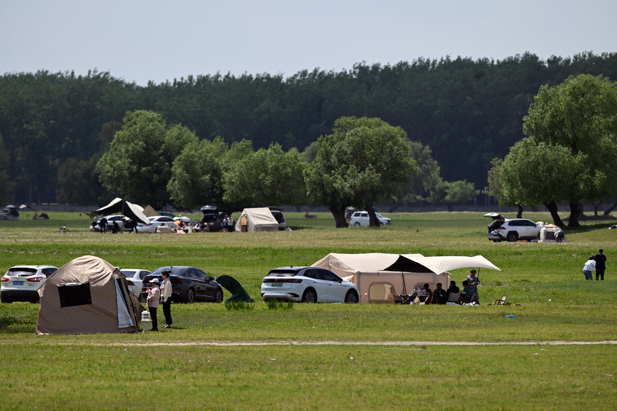尔湾附近露营的地方有哪些？