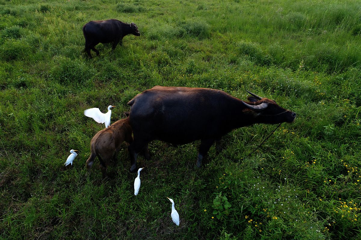 江苏省淮阴商业学校2022年新增专业解读-就业前景分析