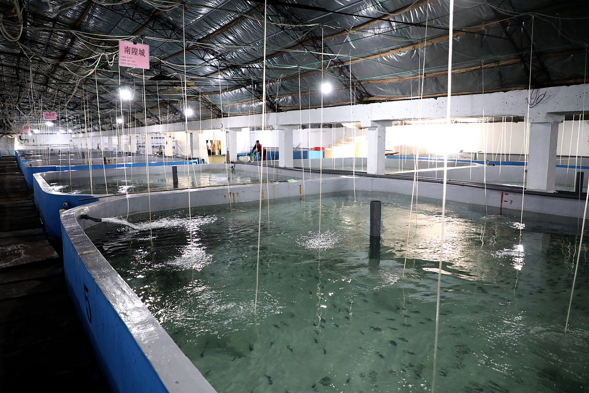 威海市水产学校—海水生态养殖专业介绍