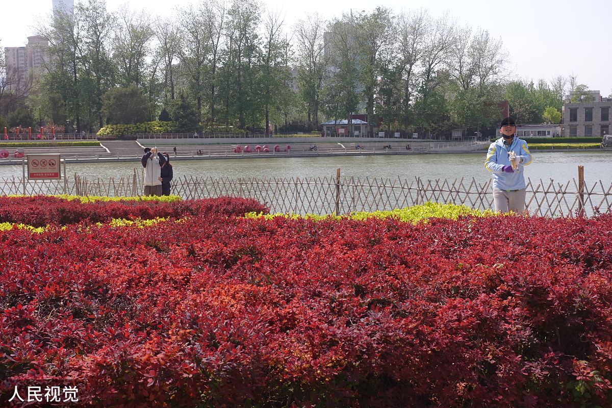 讴歌黑河：从市树市花到城市精神的赞歌