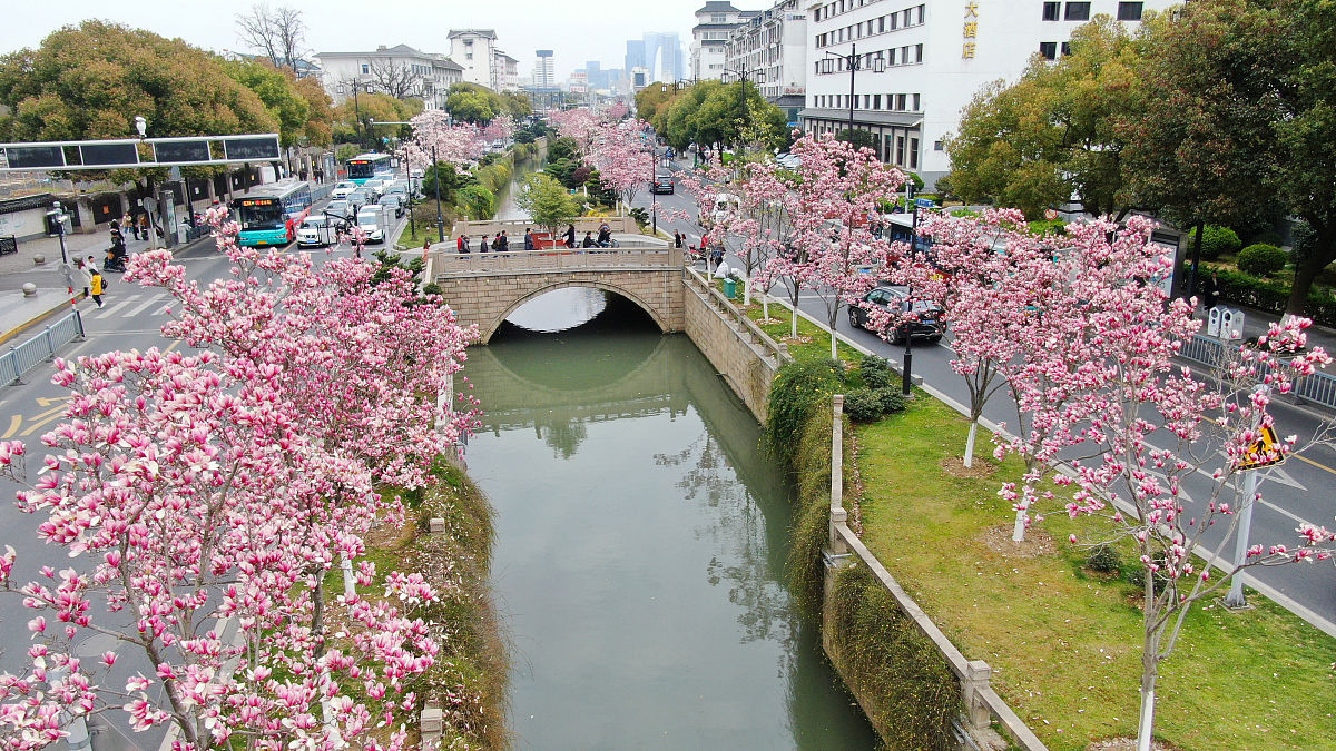 烟台城市服务技师学校是国家公办吗_好不好