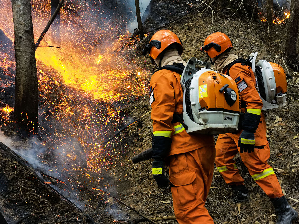 补全下面的例子 100个 换行展示顷刻间一个