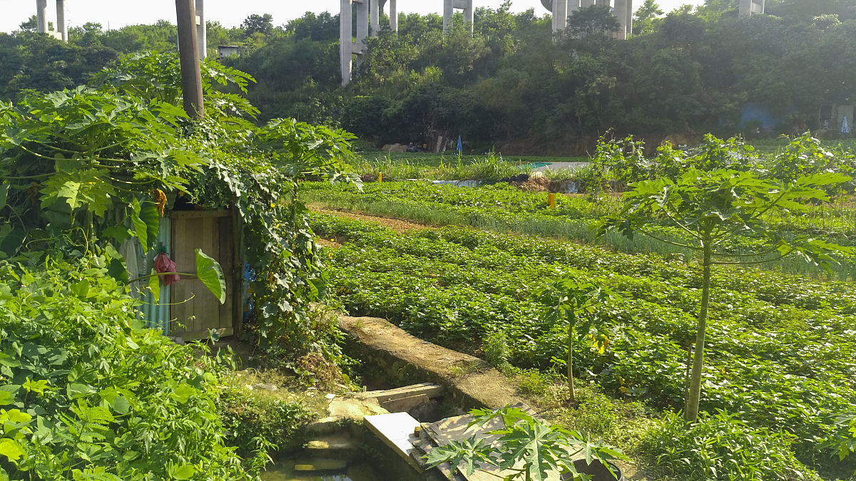 微信收款语音播报怎么设置多个人