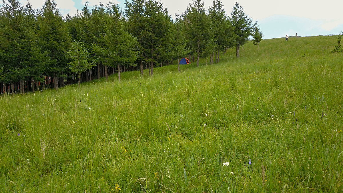 轨道交通行业发展趋势：未来展望与城市发展融合